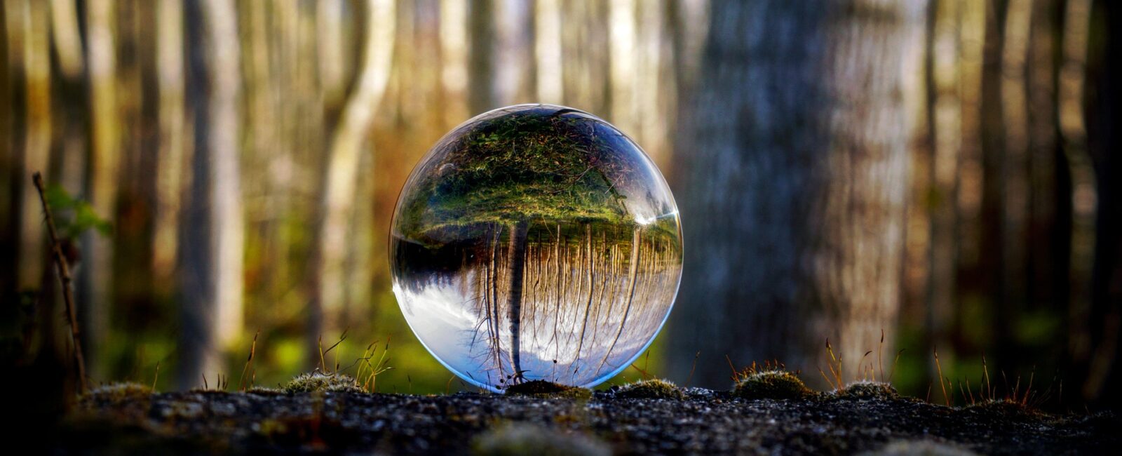 „Zen-Geist – Anfänger-Geist“