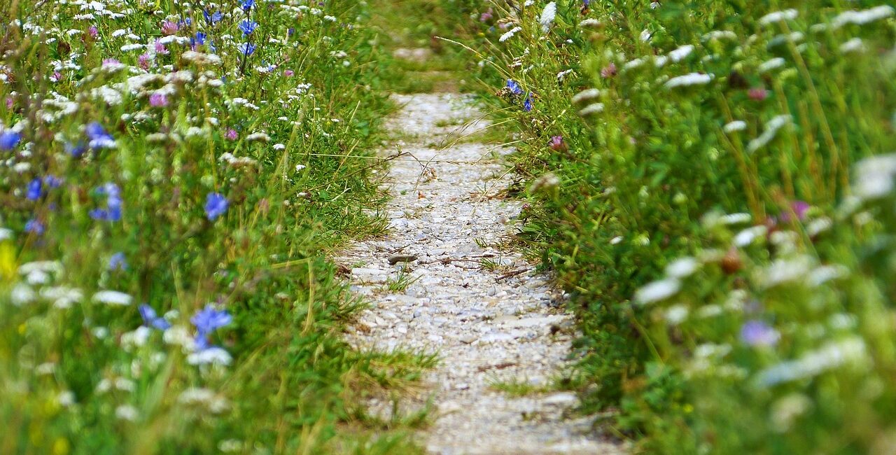 SAFE THE DATE: Frauenfrühstück im HPH