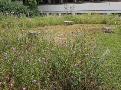 Ein Lebensraum für viele – und ein Gewinn für alle