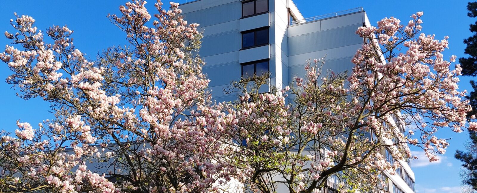 Gottesdienste in der Karwoche und an den Ostertagen