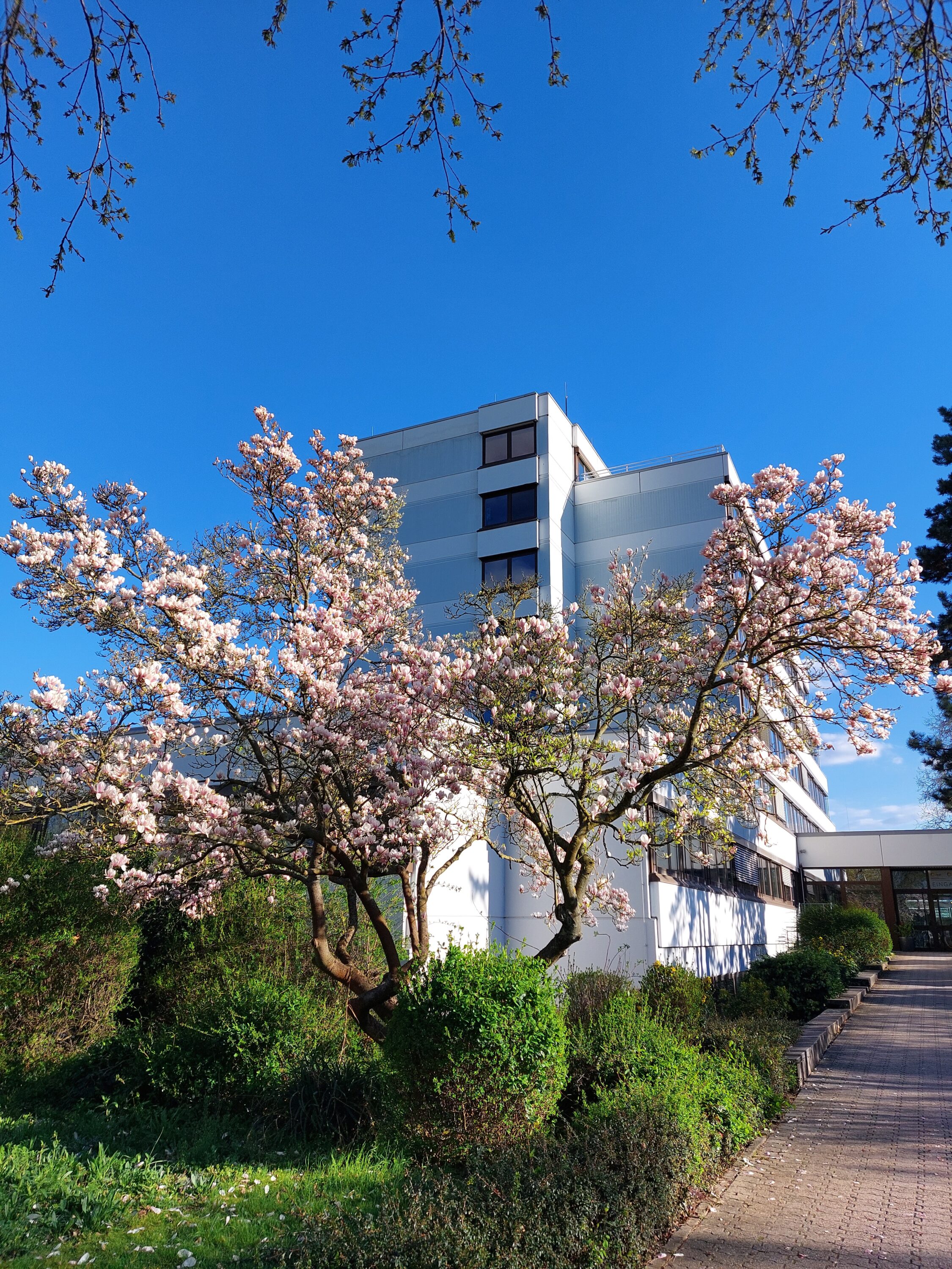 Gottesdienste in der Karwoche und an den Ostertagen