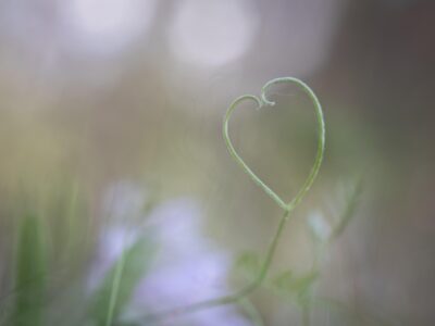 Thematisches Frauenfrühstück: Akzeptanz und Gefühle – Selbst sein in einer Gesellschaft voller Erwartungen